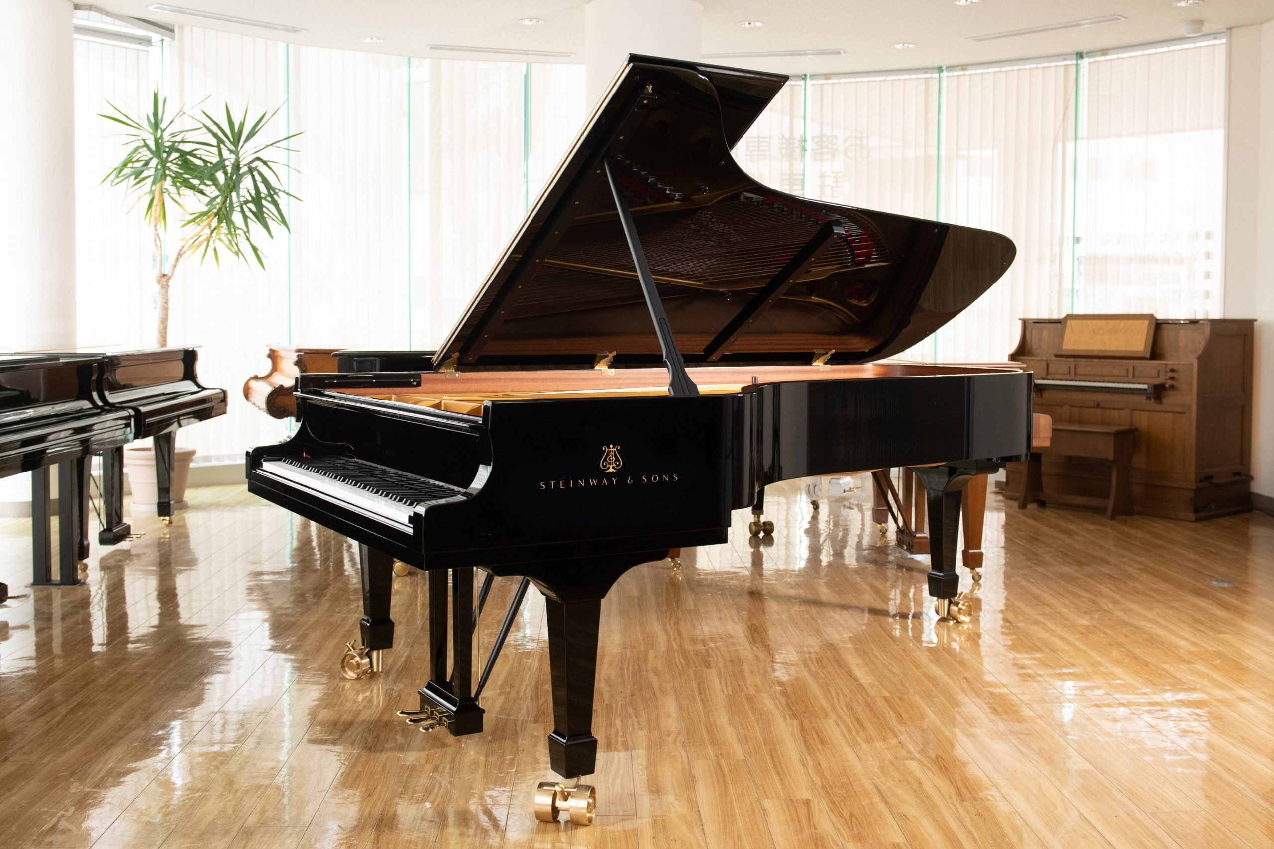 ピアノショールームHarmonia 新規キャンペーンのご案内