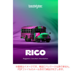 bm-rico3