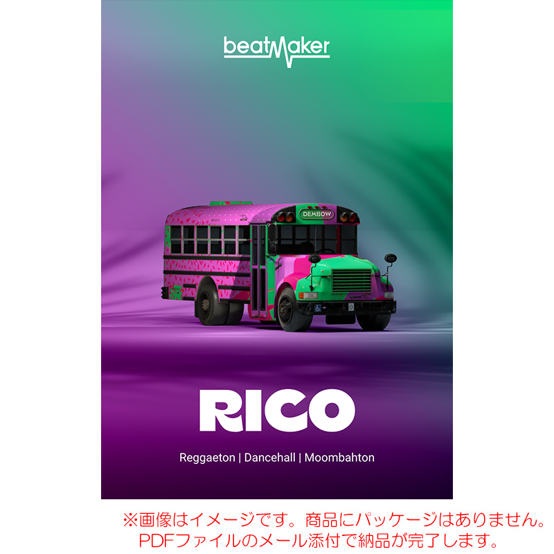bm-rico3