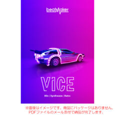 bm-vice3