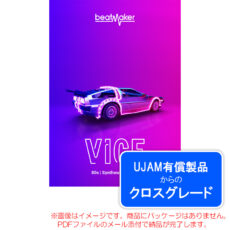 bm-vice3-ly