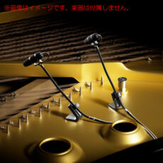 dpa-4099dp1-101p