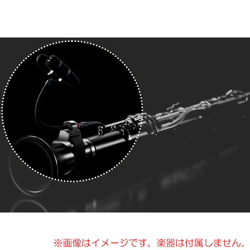 dpa-4099dp1-101u