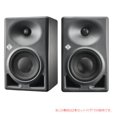 neumann-kh120-2-p