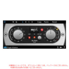 pa-spl-de-verb-p