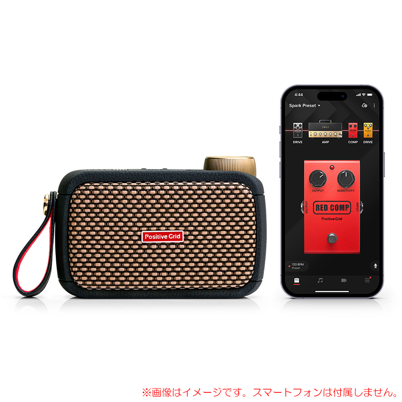 pg-spark-go