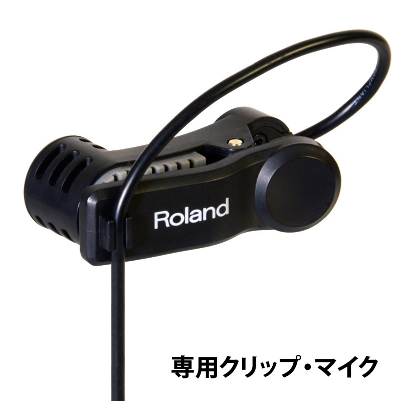 roland-ec-10m