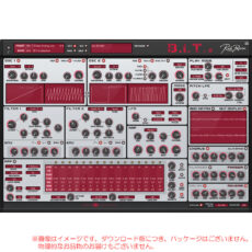 rp-bit2