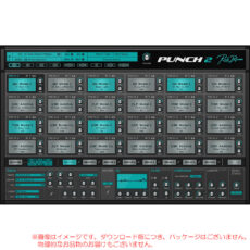 rp-punch2