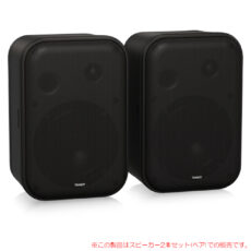 tannoy-nms1