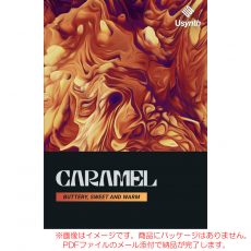 ujam-usyn-caramel