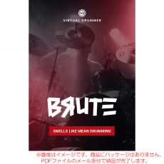 ujam-vd-brute