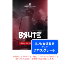 ujam-vd-brute-c