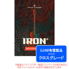 ujam-vg-iron2-c