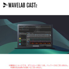 wavelab-cast-2