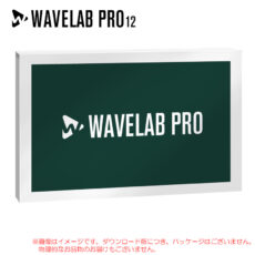 wavelab-pro-12-dl