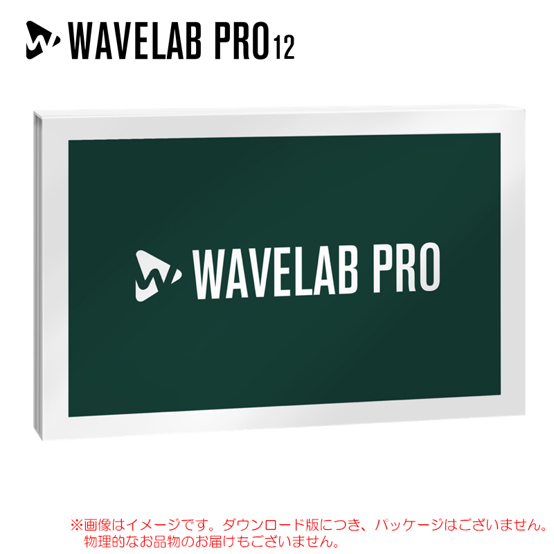 wavelab-pro-12-dl