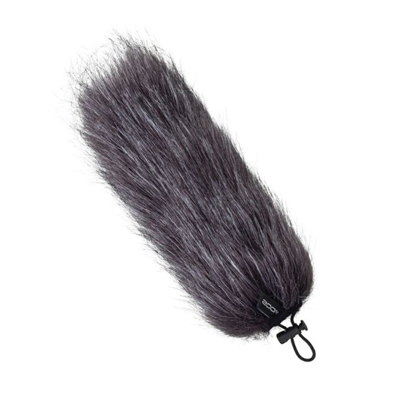 zoom-wsu-2